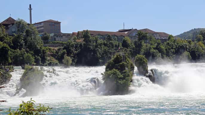 rhine falls and best of zurich city fullday tour