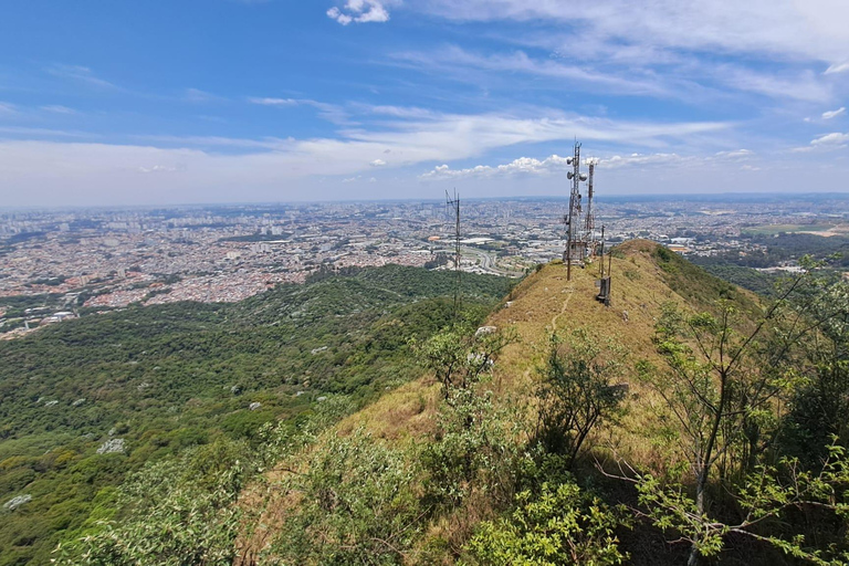 São Paulo: Pico Jaraguá – Spaziergang durch den RegenwaldSão Paulo: Wanderung durch den Regenwald am Pico Jaraguá
