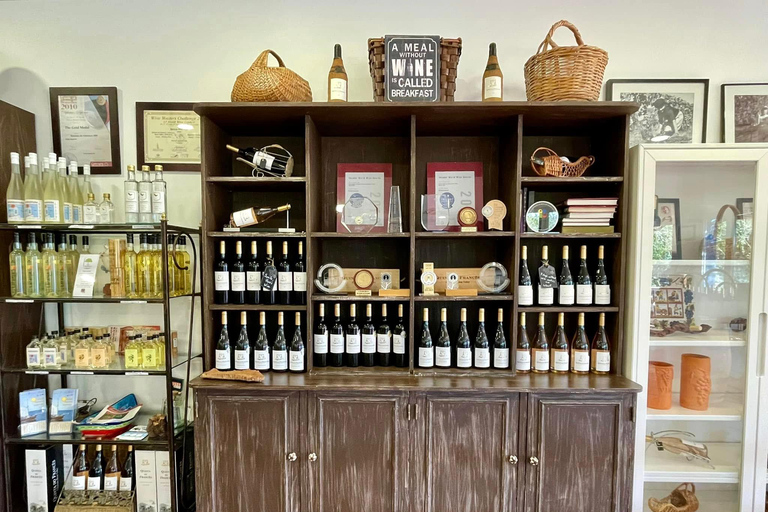 Albufeira, Olhão, Faro: visit to a vineyard, free time in Silves