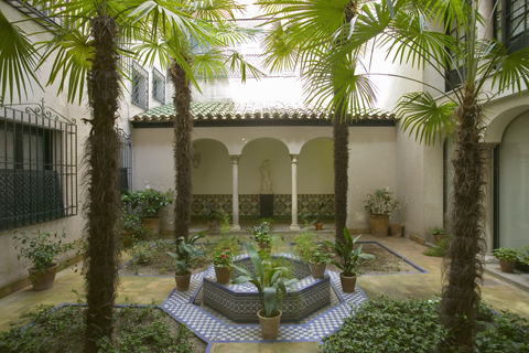 Sorolla Museum Private Tour with an Expert Guide 1.5-Hour Sorolla Museum Tour