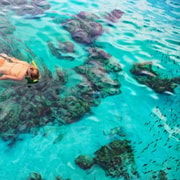 Exmouth: 6-hour wildlife / snorkel adventure