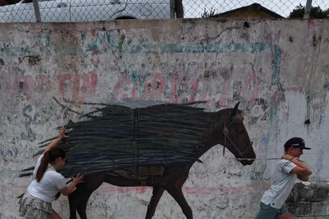 Tzimol, Chiapas: Town Tour, Sugarcane Factory, Magic ForestTour by Tuk-Tuk