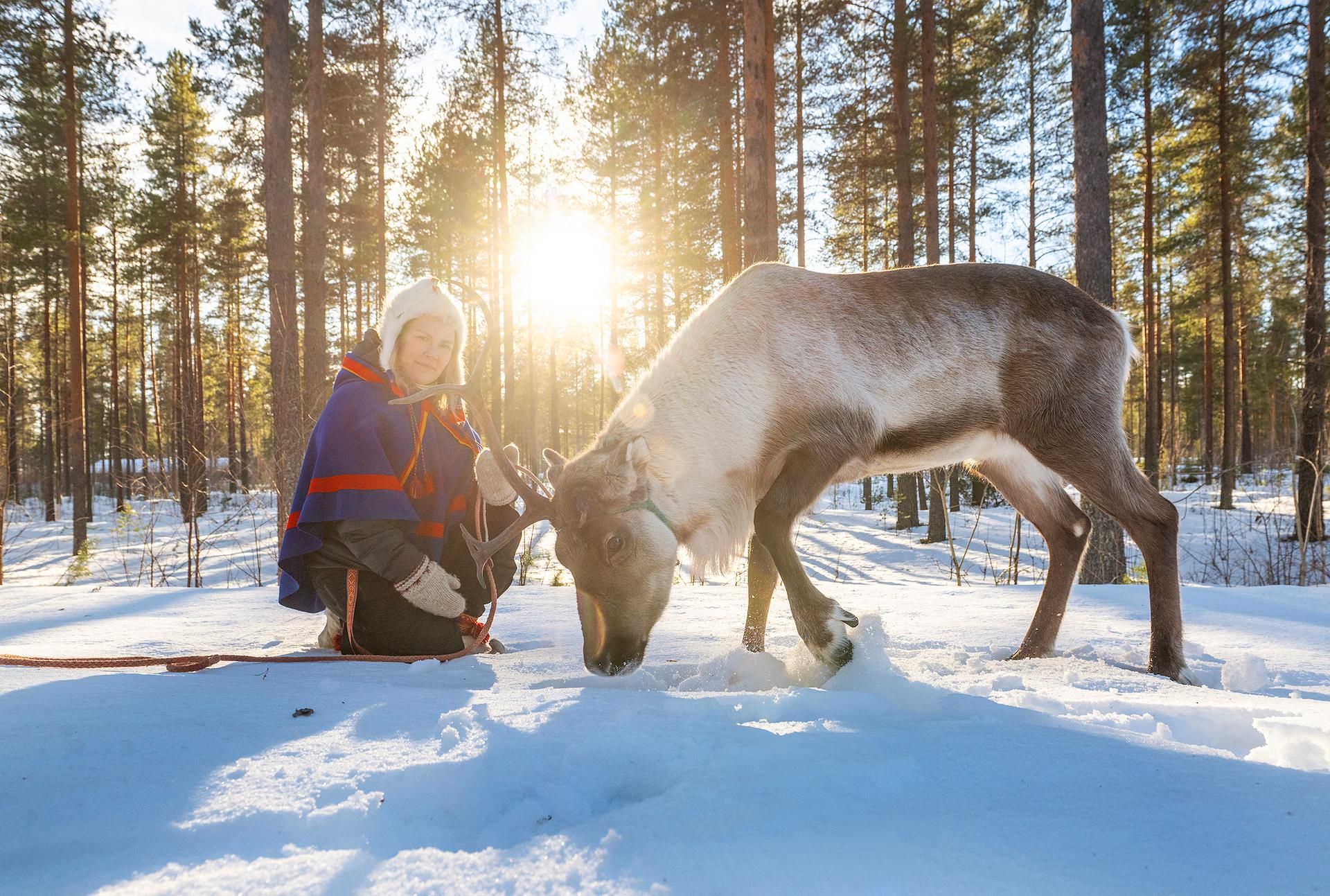 Luleå: Begegnung mit Rentieren