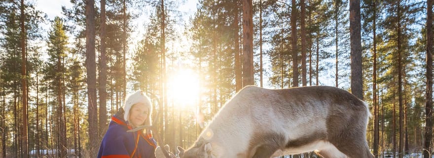 Luleå : Expérience de rencontre avec des rennes