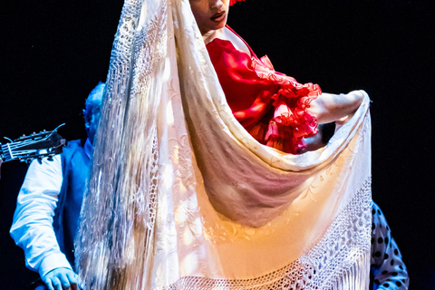 Grenade : Spectacle &quot;Sensaciones&quot; Théâtre Flamenco GrenadeVIP