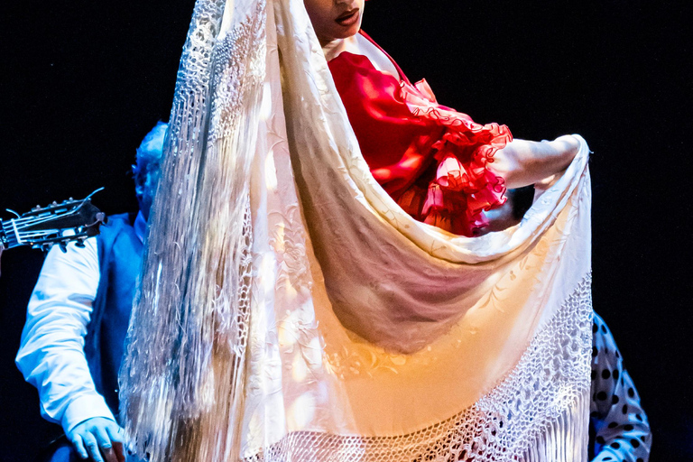 Grenade : Spectacle &quot;Sensaciones&quot; Théâtre Flamenco GrenadePROMO