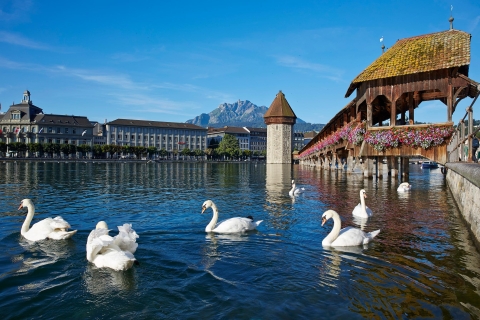 Mount Rigi: 2-Day Wellness Experience from Zurich 2 Days / 1 Night Mountain Wellness - Double Room