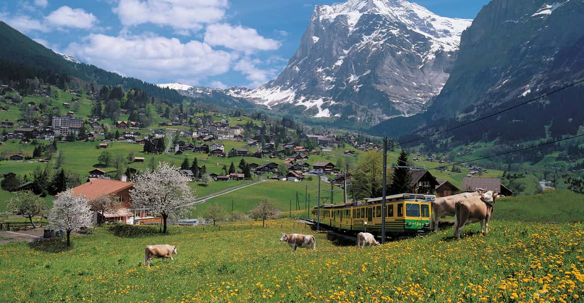 Ab Zürich: Tagestour nach Grindelwald und Interlaken