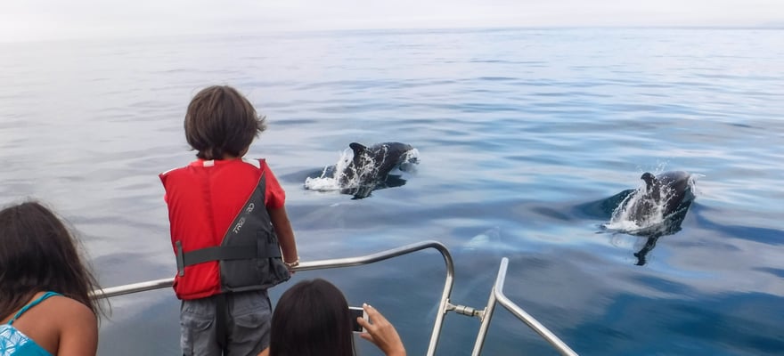 Sesimbra Actividades Para Toda La Familia Lo MEJOR De 2024