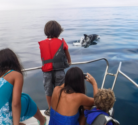 Family-friendly activities