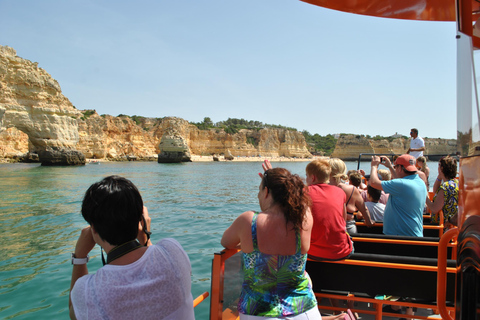 Albufeira: 2.5-Hour Dolphin Watching and Caves Cruise Shared Tour in Small Boat - Focus on Dolphin Watching