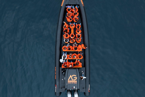 Isla de São Miguel: tour en barco por la costa norte salvajeRecorrido por la costa salvaje del norte - Tarde
