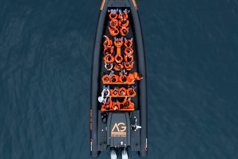 Isla de São Miguel: tour en barco por la costa norte salvajeRecorrido por la costa salvaje del norte - Tarde