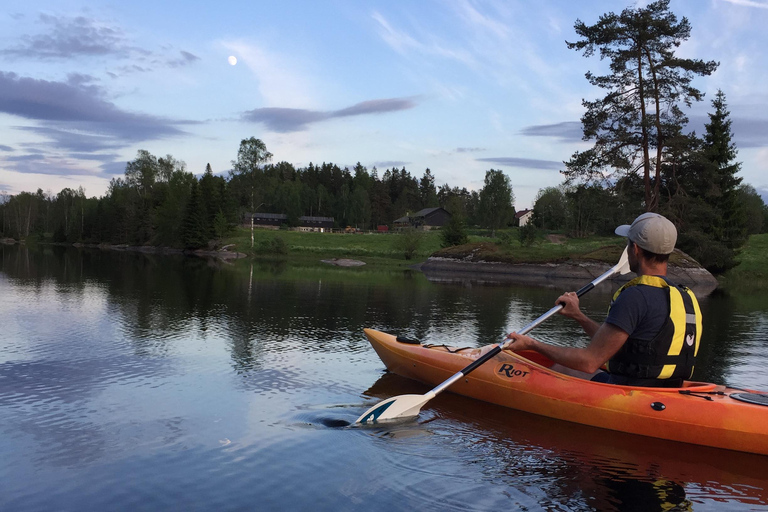 Oslo: Guided Kayak Tour on Lake Langen with Lunch