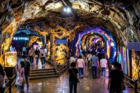 Private Suwon Tour from Seoul with 3 Attraction Options A - Private Suwon Hwaseong & Starfiled Tour from Seoul