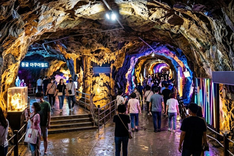 Private Suwon Tour from Seoul with 3 Attraction Options A - Private Suwon Hwaseong & Starfiled Tour from Seoul
