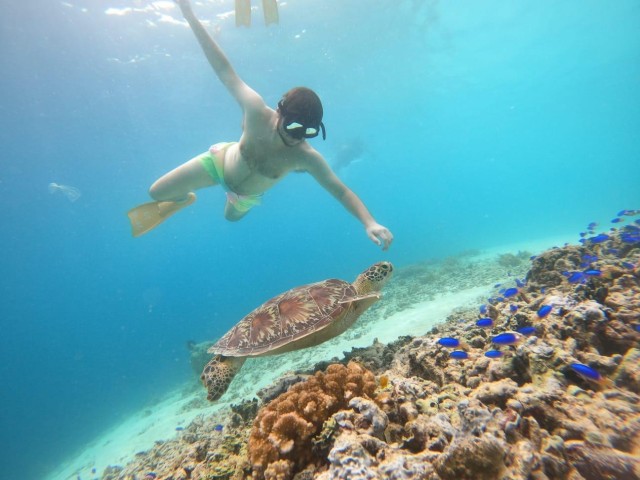 Visit Gili T Island Gili Snorkeling Day Trip Swim With Turtles in Lombok