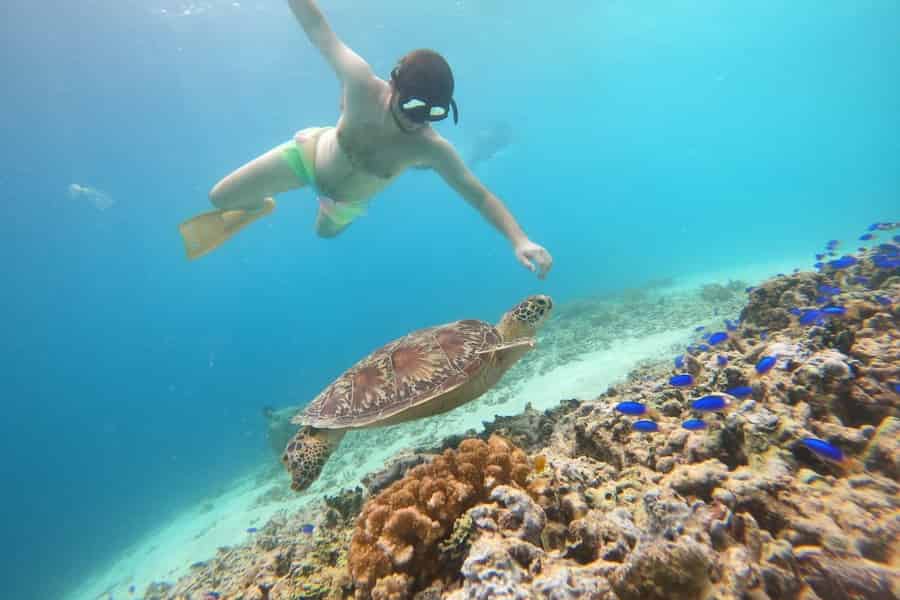 Die Insel Gili T: Gili Schnorcheln Tagesausflug Schwimmen mit Schildkröten. Foto: GetYourGuide Die Insel Gili T: Gili Schnorcheln Tagesausflug Schwimmen mit Schildkröten. Foto: GetYourGuide