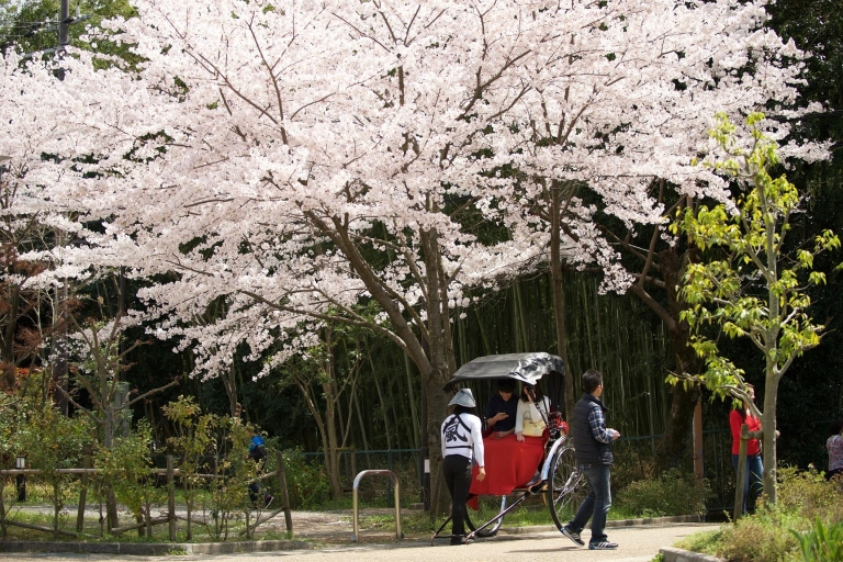 Kioto: Arashiyama Custom Riksza Tour & Bamboo Forest70-minutowa, dobrze zaokrąglona wycieczka: Świątynia Zen - rano