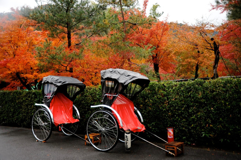 Kyoto: visite guidée en pousse-pousse et forêt de bambous sur mesure d'ArashiyamaVisite complète de 70 minutes: promenade dans la forêt de bambous - Matin