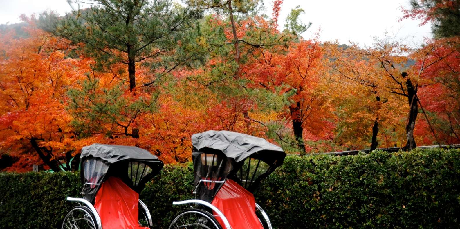 Kyoto: Arashiyama Customized Rickshaw Tour & Bamboo Forest