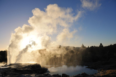 From Auckland: Day trip to Te Puia & Waitomo Caves