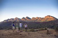 From Adelaide, 3-Day Flinders Ranges Small Group Eco Safari - Housity
