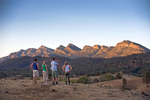 Van Adelaide: 3-daagse Flinders Ranges ecosafari voor kleine groepenEenpersoons Standaard Motel-eenheid