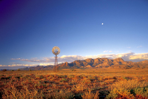 Circuit écologique de 5 jours dans les Flinders Ranges et l'Outback au départ d'AdélaïdeUnité de motel standard, simple