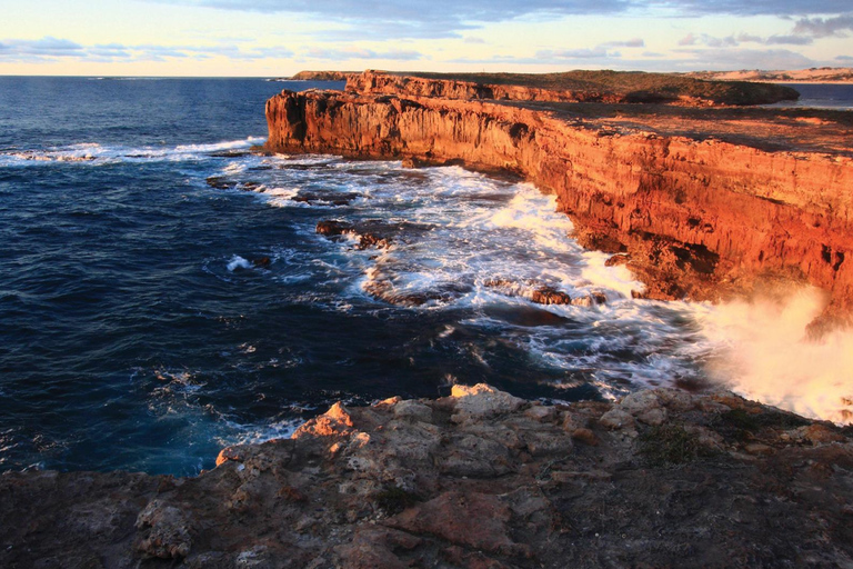 3-tägige Yorkes Peninsula Coastal Wilderness Tour ab AdelaideStandard Ferienpark/Haus, Einzel