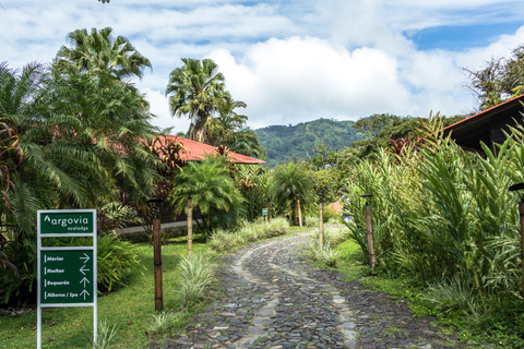 Tapachula: The Chiapas Coffee Route Tapachula: The Coffee Route in Chiapas