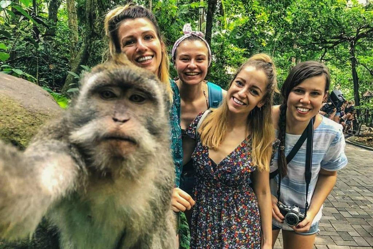Ubud: Monkey Forest, Rice Terrace, Waterfall Private Tour Private Tour Without Entry Tickets