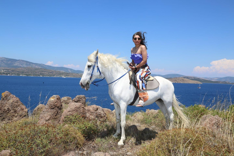 Bodrum: Horse Riding Experience with Forest or Seaside Route Seaside Horse Riding Tour (2 Hours – Beach Route)