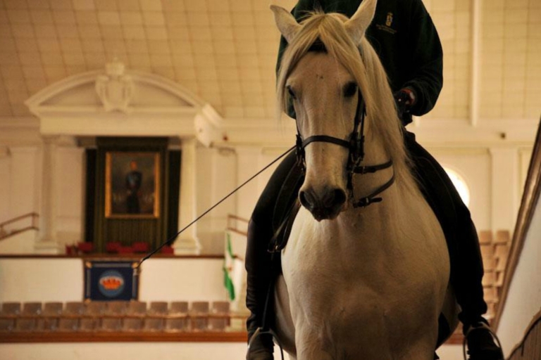Jerez Private Tour From Seville: Wine and Equestrian Art