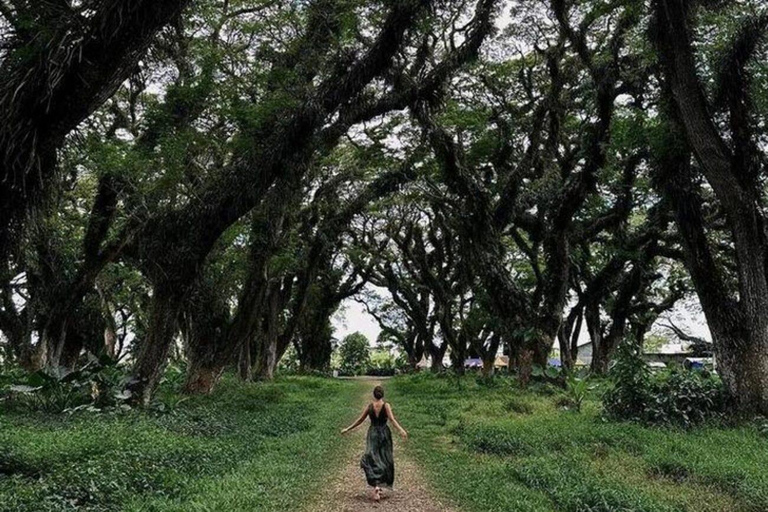 Banyuwangi: Island Hopping, Sunset, & Dragon Fruit Tour