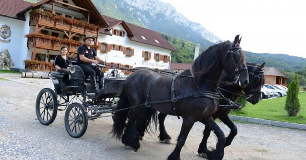 Vampire Riding Motorcycle Brașov: Horse-Drawn Sleigh or Carriage Ride with Pickup - 2026 ...