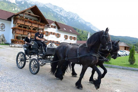 Brașov: Horse-Drawn Sleigh or Carriage Ride with Pickup