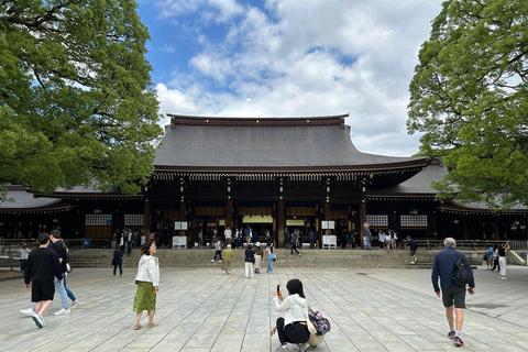 Tokio y Fuji: Premium Car Tour Privado de 2 Días