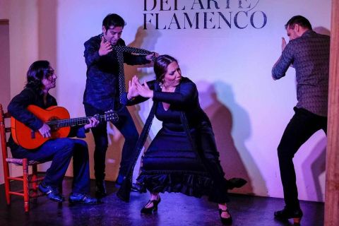 Granada: spettacolo tradizionale di Flamenco