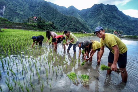 BANAUE:BATAD Risterrasser med Sagada 4D3N