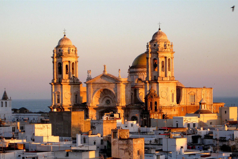 De Sevilha: viagem de um dia para degustação de xerez em Cádiz e Jerez