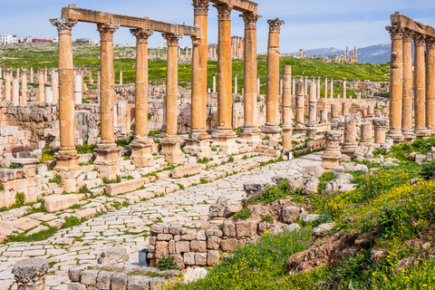 Aqaba: Jerash, Ajloun Castle - Ajloun Teleferic one day Tour