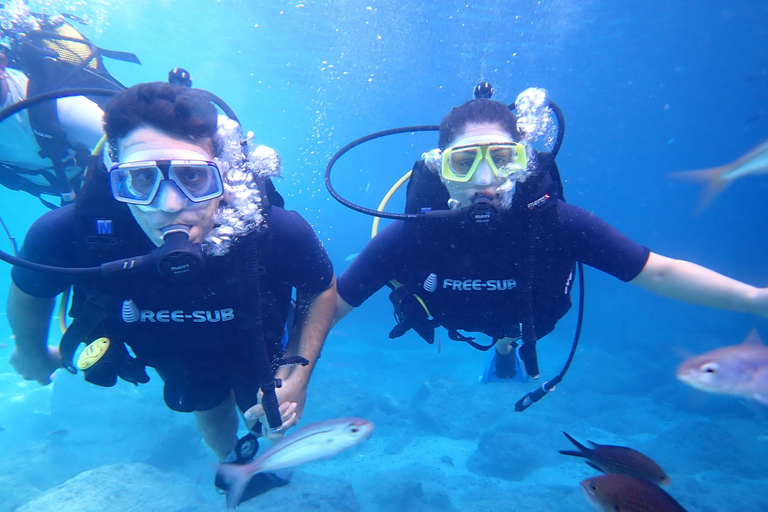 Alanya: PADI Discover Dive & Certified Training Options First Time Diving Option