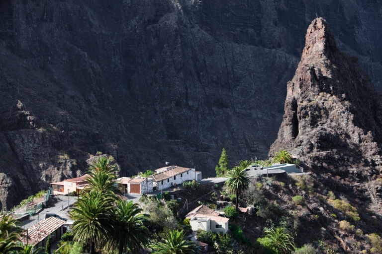 Vanuit Zuid-Tenerife: vip-eilandtour van een dagVIP-eilandentocht van een hele dag - Duits