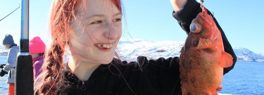 Fra Tromsø: 3-timers polarfiskeeventyr