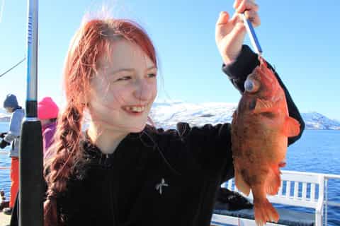 From Tromso: 3-Hour Polar Fishing Adventure