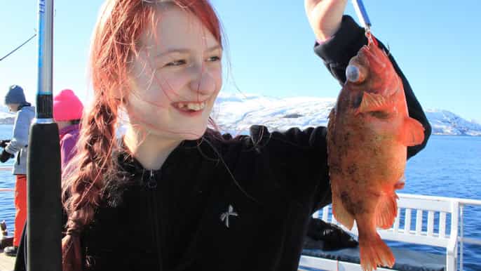 da tromsø battuta di 3 ore di pesca polare