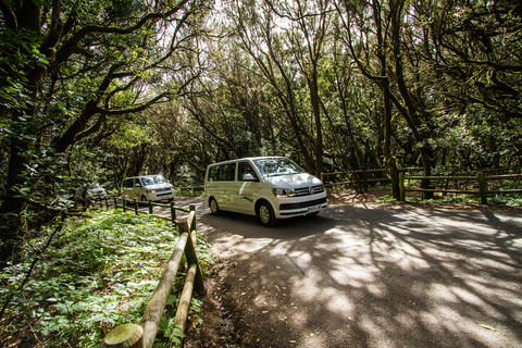 Desde el sur de Tenerife: tour VIP de La GomeraDesde el sur de Tenerife: tour VIP de La Gomera en español