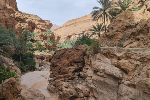 Muscat: Fins View, Wadi Jahal & Bimmah Tour
