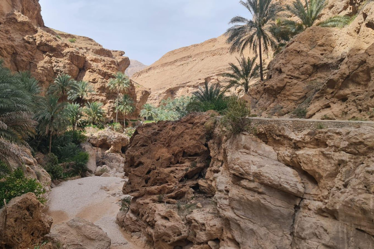 Muscat: Fins View, Wadi Jahal & Bimmah Tour